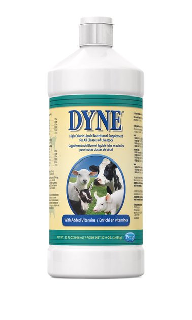 dyne supplement near me