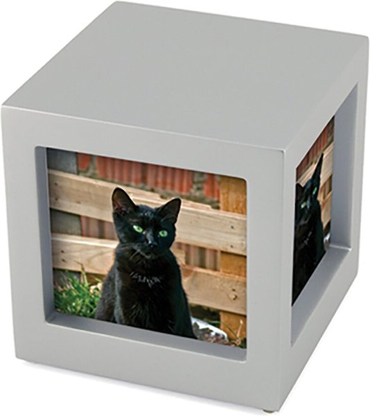 A Pet's Life Pet Photo Cube, Small slide 1 of 6