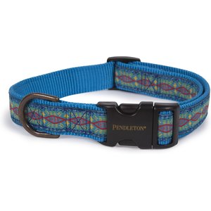 Pendleton Diamond River Nylon Dog Collar, Turqouise, Medium: 14 to 18-in neck, 3/4-in wide