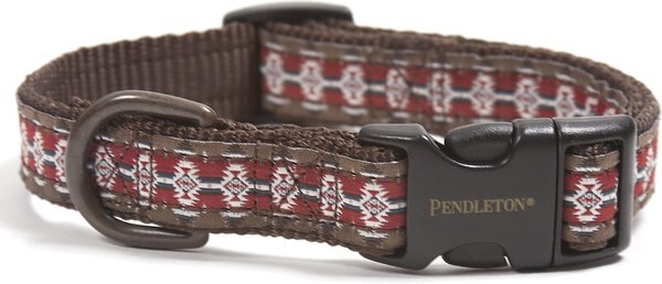 Pendleton Mountain Majesty Nylon Dog Collar, Small: 10 to 14-in neck, 3/4-in wide slide 1 of 3