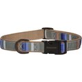 Pendleton Rocky Mountain National Park Nylon Dog Collar, Small: 10 to 14-in neck, 3/4-in wide