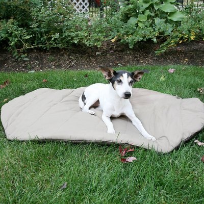 Carolina Pet Bed-In-A-Bag Pillow Dog Bed w/Removable Cover, Olive, slide 1 of 1