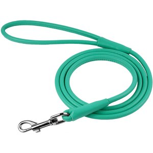 CollarDirect Rolled Leather Dog Leash, Mint Green, Small: 6-ft long, 1/4-in wide