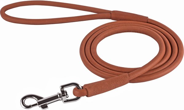 CollarDirect Rolled Leather Dog Leash, Brown, Large: 6-ft long, 3/8-in wide slide 1 of 3