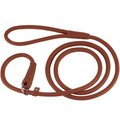 CollarDirect Rolled Leather Dog Slip Lead, Brown, Small: 6-ft long, 5/16-in wide