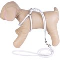 CollarDirect Rolled Leather Step In Back Clip Dog Harness & Leash, White, X-Small: 11 to 16-in chest