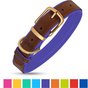 CollarDirect Soft Padded Leather Dog Collar, Purple, Medium