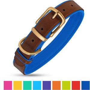 CollarDirect Soft Padded Leather Dog Collar, Navy Blue, X-Large
