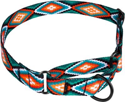 CollarDirect Tribal Aztec Nylon Martingale Dog Collar, slide 1 of 1