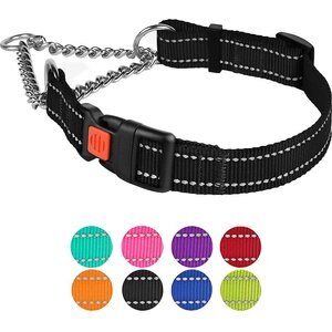 CollarDirect Nylon Reflective Martingale Dog Collar, Black, Large: 16 to 21-in neck, 1-in wide