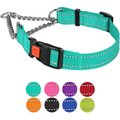CollarDirect Nylon Reflective Martingale Dog Collar, Mint Green, Large: 16 to 21-in neck, 1-in wide