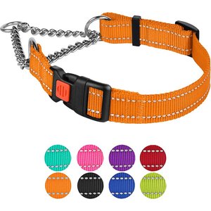 CollarDirect Nylon Reflective Martingale Dog Collar, Orange, Large: 16 to 21-in neck, 1-in wide