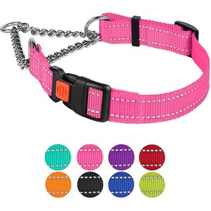CollarDirect Nylon Reflective Martingale Dog Collar, Pink, Small: 12 to 15-in neck, 5/8-in wide