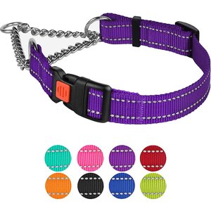 CollarDirect Nylon Reflective Martingale Dog Collar, Purple, Small: 12 to 15-in neck, 5/8-in wide