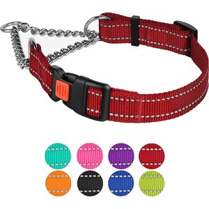 CollarDirect Nylon Reflective Martingale Dog Collar, Red, Medium: 14 to 17-in neck, 3/4-in wide