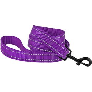 CollarDirect Reflective Nylon Dog Leash, 5-ft, Purple, Small