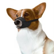 CollarDirect Adjustable Nylon Dog Muzzle Set, Black