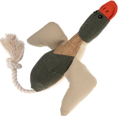 Paws & Pals Duck Plush Dog Toy, slide 1 of 1