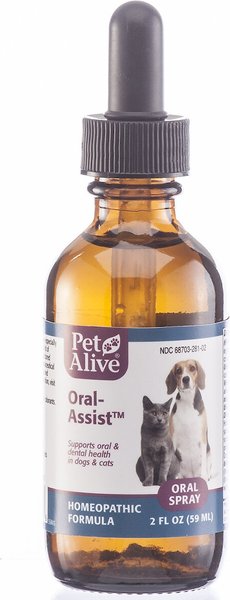 PetAlive Oral-Assist Homeopathic Medicine for Dental Infections for Dogs & Cats, 2-oz bottle slide 1 of 4
