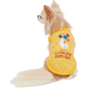 Frisco Llama-zing Birthday Dog & Cat T-Shirt, X-Small