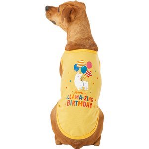 Frisco Llama-zing Birthday Dog & Cat T-Shirt, Large