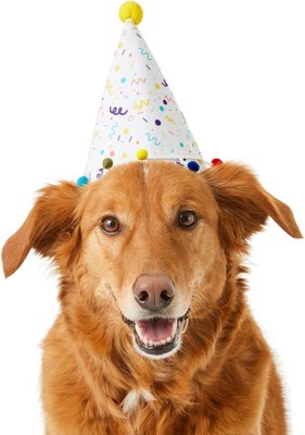 Frisco Confetti Dog & Cat Birthday Hat, slide 1 of 1