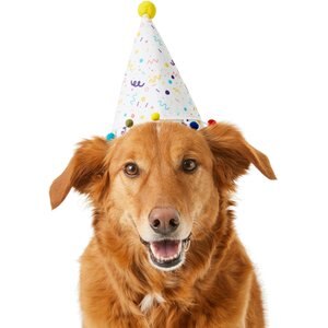 Frisco Confetti Dog & Cat Birthday Hat, Medium/Large