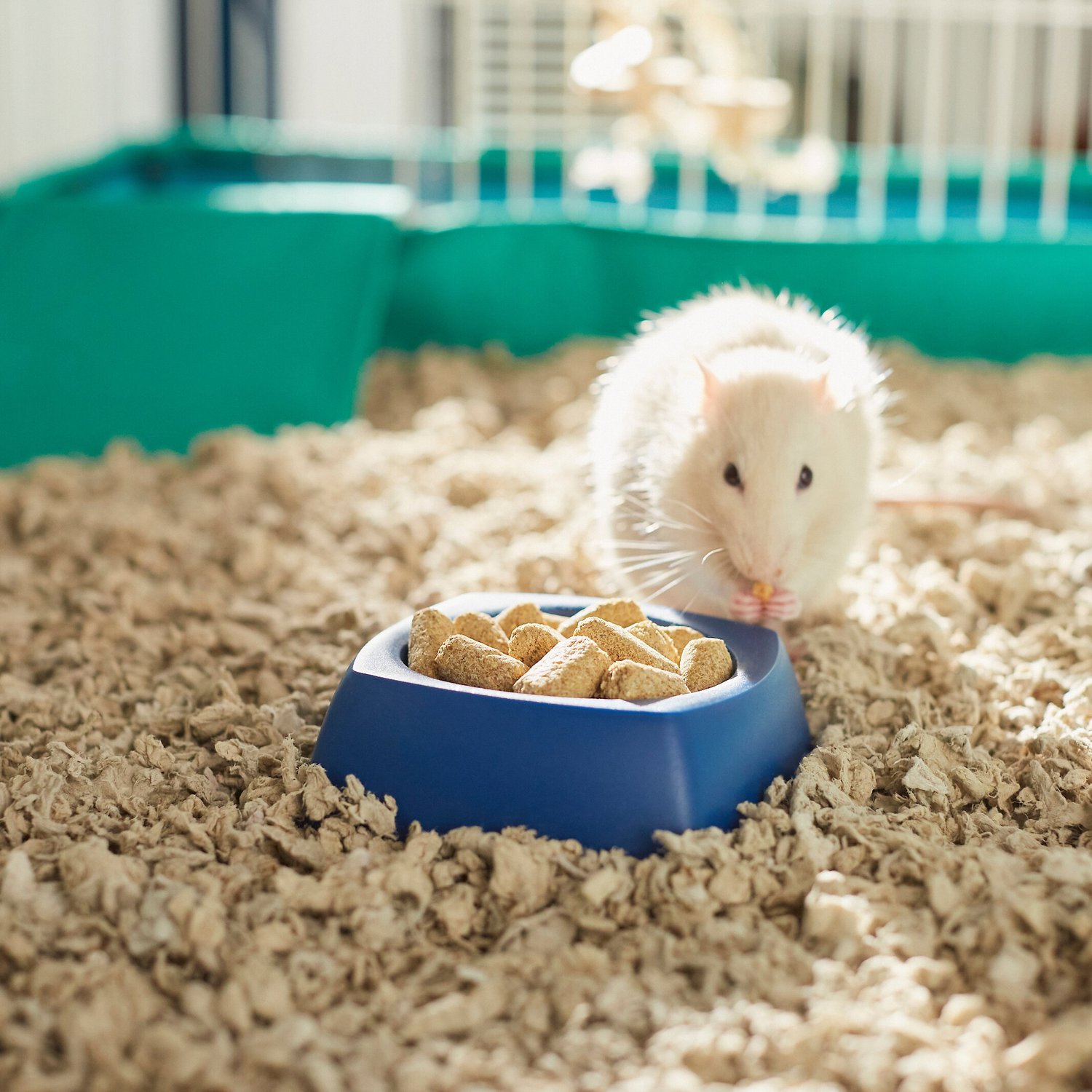 Mazuri Mouse & Rat Food, 25-lb bag - Chewy.com