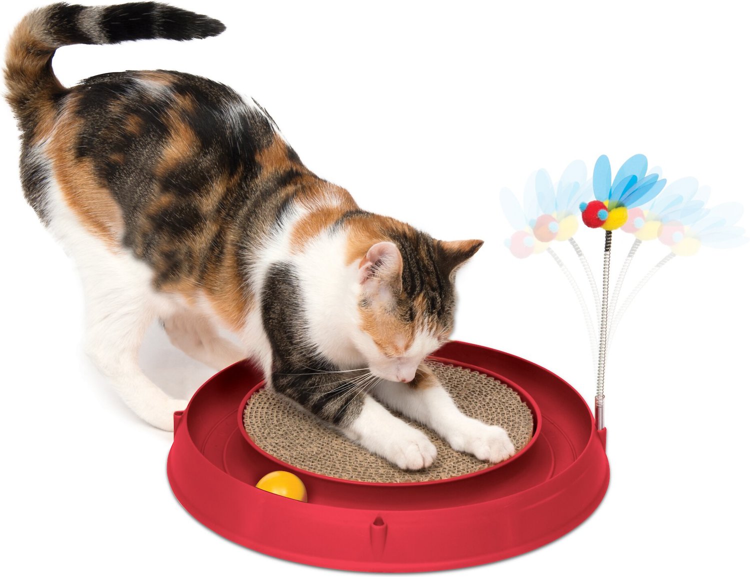 round cat toy with ball