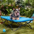 Regalo My Cot Elevated Dog Bed, Blue, 48-in