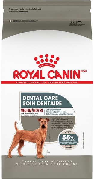 Royal Canin Canine Care Nutrition Medium Dental Care Dry Dog Food, 28-lb bag slide 1 of 4