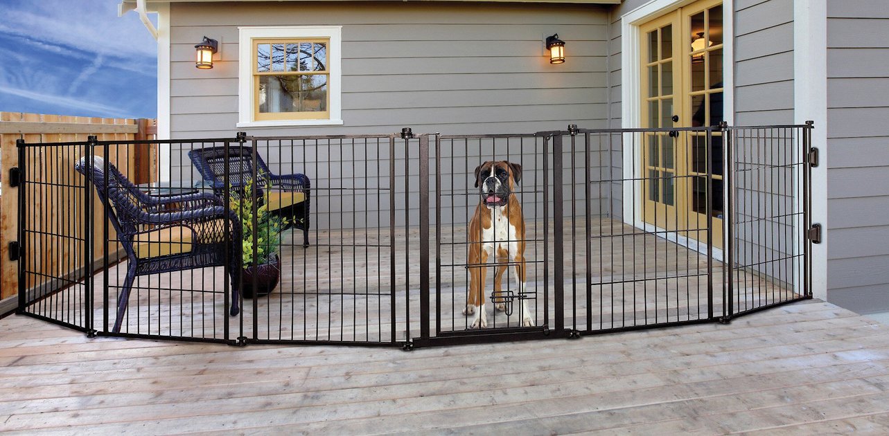 Carlson Pet S Weatherproof, Outdoor Dog Gate
