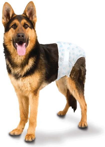 Wee-Wee Disposable Male & Female Dog Diapers, Large/X-Large: Over 19-in waist, 36 count slide 1 of 3