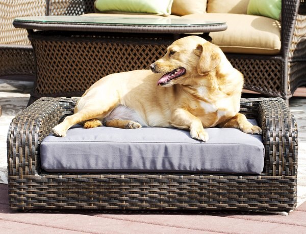Iconic Pet Rattan Sofa Cat & Dog Bed w/Removable Cover, Caramel & Mocha slide 1 of 5