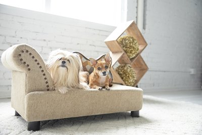 La-Z-Boy Chaise Furniture Sofa Dog Bed, slide 1 of 1