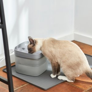 Best Overall Pet Water Fountain