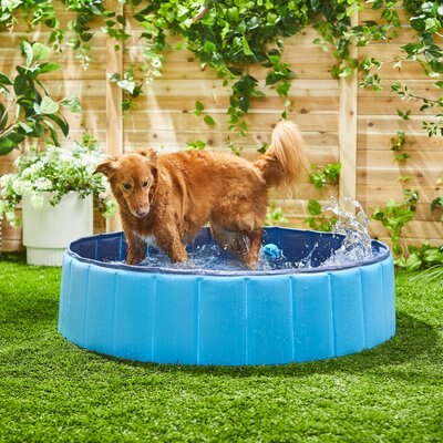 Frisco Outdoor Dog Swimming Pool, slide 1 of 1