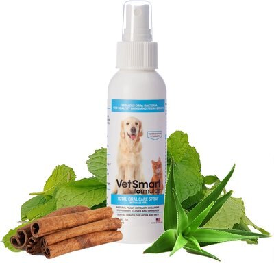 VetSmart Formulas Total Oral Care Aloe Vera Dog & Cat Spray, 4-oz bottle, slide 1 of 1