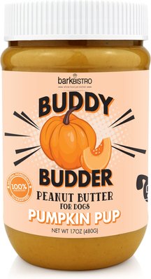 Bark Bistro Company Buddy Budder Pumpkin & Cinnamon Peanut Butter Lickable Dog Treats, 16-oz jar, slide 1 of 1