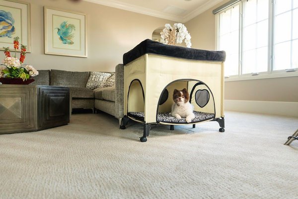 Petique Bedside Lounge Elevated Dog Bed, Zebra Vibes slide 1 of 5