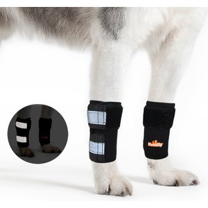 NeoAlly Front Leg Dog Brace, L/XL, 2 count