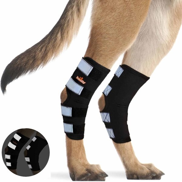 NeoAlly Rear Leg Dog Brace, Medium slide 1 of 7