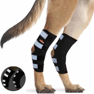 NeoAlly Rear Leg Dog Brace, X-Large