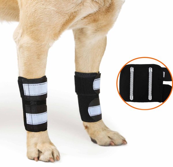 NeoAlly Front Leg Metal Spring Support Dog Brace, XX-Small / X-Small slide 1 of 8