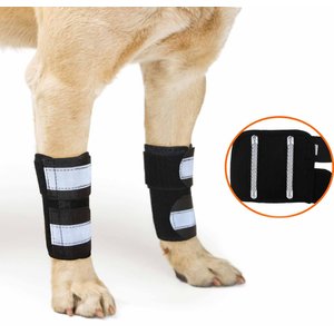NeoAlly Front Leg Metal Spring Support Dog Brace, Small / Medium