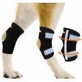 NeoAlly Back Hock Metal Spring Support Dog Brace, Small