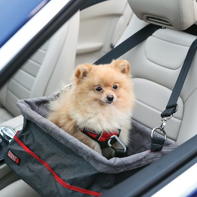 Kong Secure Dog Booster Seat Chewy Com, Chewy Dog Car Seats