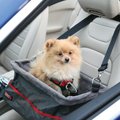 KONG Secure Dog Booster Seat