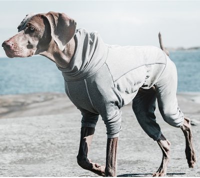 Hurtta Body Warmer Dog Bodysuit, Carbon Grey, slide 1 of 1