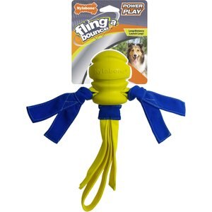 Nylabone Power Play Fling-a-Bounce Dog Toy, Medium